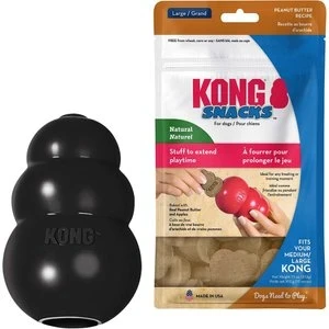 Treat-Dispensing Toy